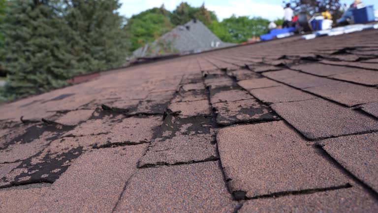 Best Roof Moss and Algae Removal  in Bay Village, OH